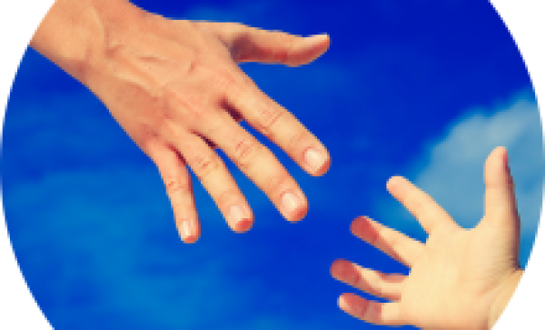 תרומת פדיון כפרות